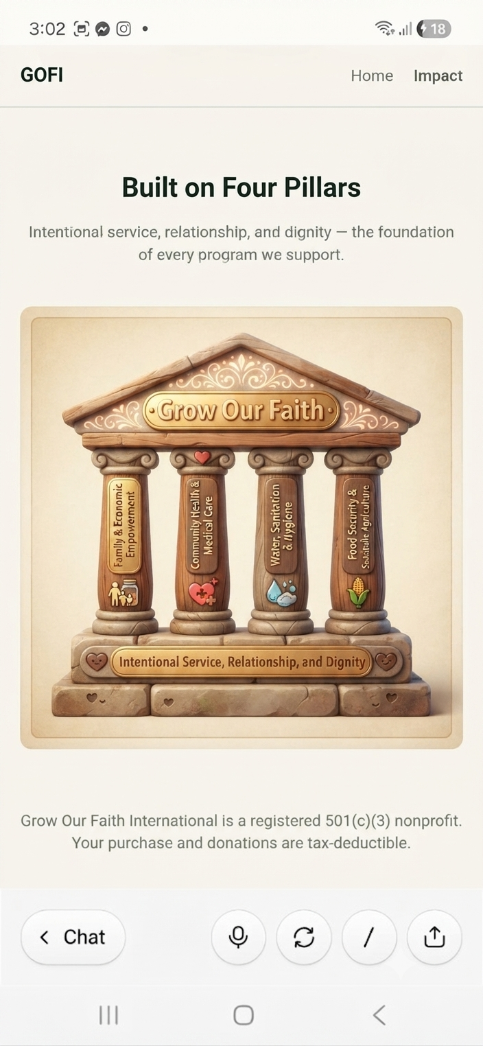 Grow Our Faith four pillars: Family & Economic Empowerment, Community Health & Medical Care, Water Sanitation & Hygiene, Food Security & Sustainable Agriculture